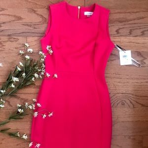 Calvin Klein Sheath Dress
